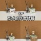 探寻旧巷浪漫：SP发刷红肿双丘笙歌，揭秘时光神秘面纱