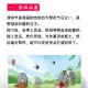 清明时节祭祖扫墓指南与风俗传统