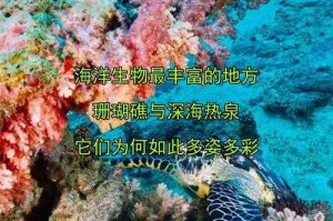 海洋中生物最丰富的区域在哪里