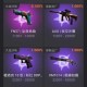 csgo饰品交易平台在哪