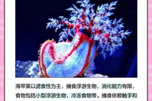 海马苹果搜索：如何利用健康应用进行搜索