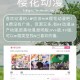 樱花动漫官方正版入口及安全流畅访问指南
