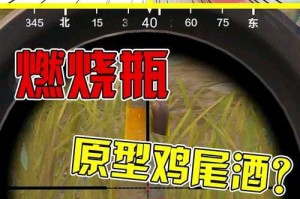 清风及她和平精英 精英 燃烧瓶，突然