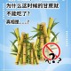 清明蔗毒过蛇？甘蔗食用安全警示