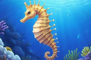 海马属于鱼类吗？揭秘海马的生物分类真相