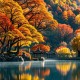深秋依旧：醉美金秋时节美景与风情