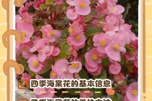 海棠红4：美丽绽放的海棠花养护指南