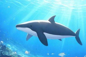 海洋清洁工：10种净化海洋的动物