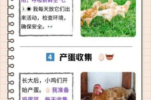 深入禽类养殖：高效管理技巧与实战经验