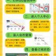 以下是对QQ VIP7服务升级的综合分析与建议：