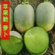 淘金农场萝卜苹果种植的品种选择是什么