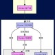 DockerHub新仓库：探索我的最新项目存储空间