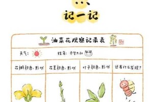 油菜籽与儿童预见性，油菜籽中的预见性萌芽，儿童认知启蒙的自然课堂