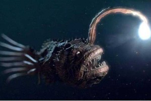 深海触手生物：神秘海洋生物的生存奥秘