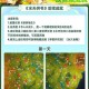 小森生活委托揭秘：隐藏位置及全面玩法攻略
