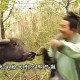 济公偷牛被骂畜生三国杀