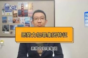 事件背景与犯罪集团特征，犯罪集团特征与事件背景关联性研究