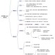 以下是针对《天启者》版本更新内容的结构化分析与优化建议：