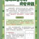 深入分析DOTA战队秘密的战术布局：如何应对不同对手