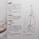 深入理解魔兽争霸镜头拉伸的基本原理和操作方法