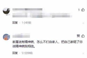 律师解读，被落石砸车家属索赔并无不妥，权威解读，被落石砸损车辆家属合理维权应获支持（责任认定与赔偿依据）