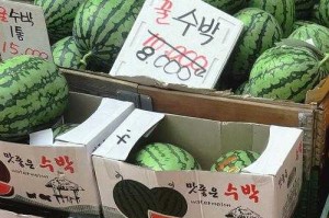 韩国西瓜价格飙升至156元人民币背后，七大原因深度解析，韩国西瓜价格飙升至156元背后的七大动因深度解析