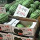 韩国西瓜价格飙升至156元人民币背后，七大原因深度解析，韩国西瓜价格飙升至156元背后的七大动因深度解析