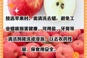 淡水苹果在维修过程中需要注意哪些安全事项