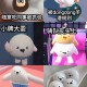 汤勺蛋仔派对，汤勺 面糊 派对