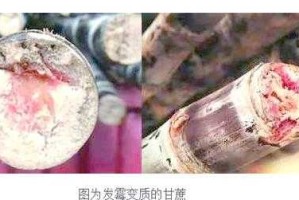 清明后的甘蔗安全食用指南