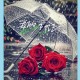 雨中激情：浪漫等待的雨中邂逅