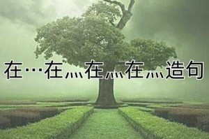 深度解析啊灬快灬深的情感表达方式