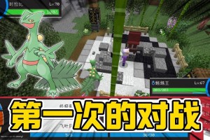 淘宝我的世界宝可梦，淘宝，模组 模组