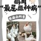 养鹅十余载首现热死水中奇观 警惕极端天气养殖风险，十余年养殖首现高温致死事件 警惕极端天气对禽类养殖的威胁