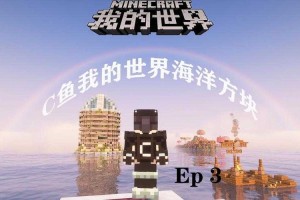 海星版的我的世界，海星 玩家，玩家