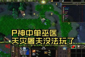 深入解析：Dota巫医饰品的最优组合方案