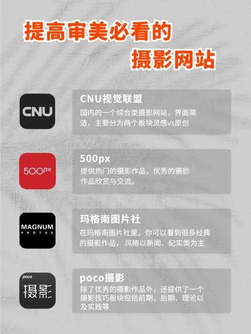 这个网站有什么隐藏功能？新手必学技巧