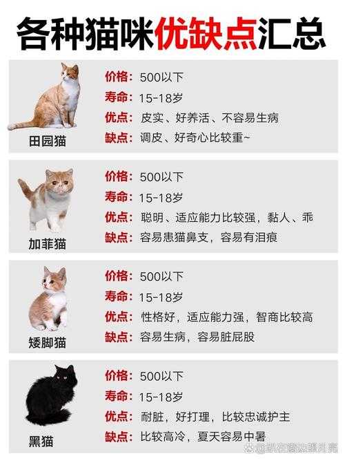 亚洲猫价格一览:不同品种猫咪的市场售价参考