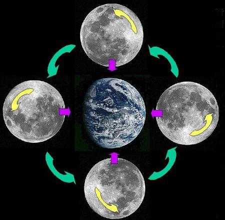 月相谜题与生存法则：现实解密《月圆之夜