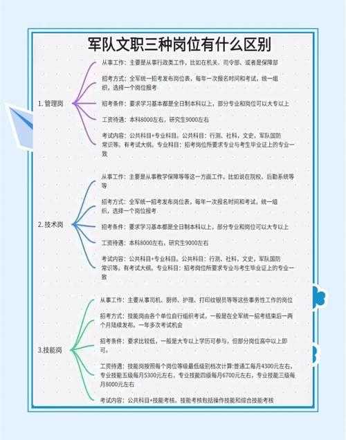 如何深入了解新版本《079》的职业设定与特色?