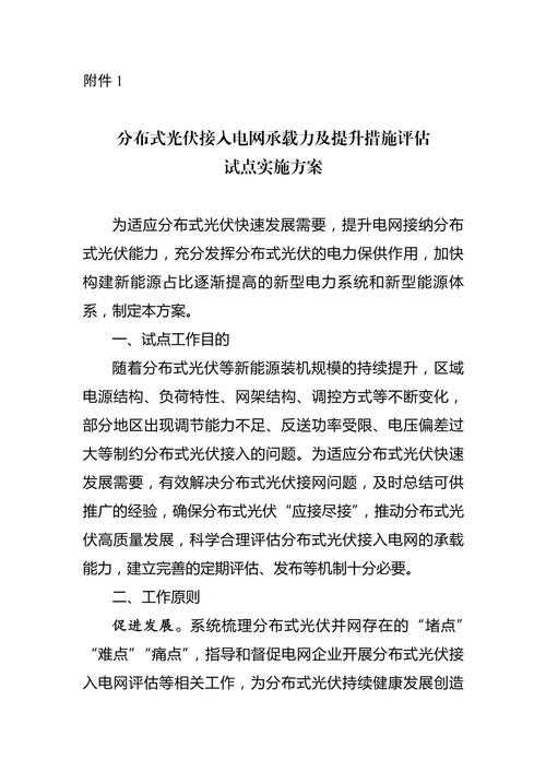 (试点项目分析报告)