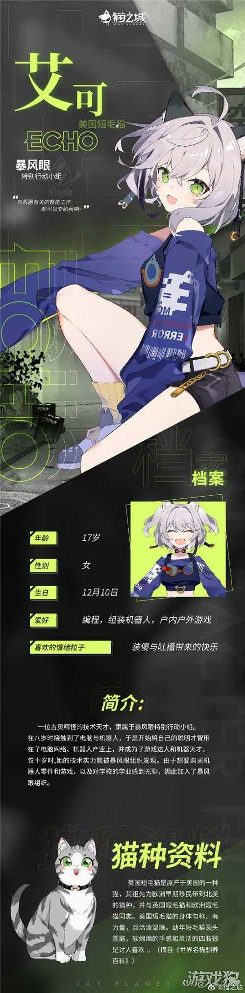 《猫之城艾可》2025四大结局全解析