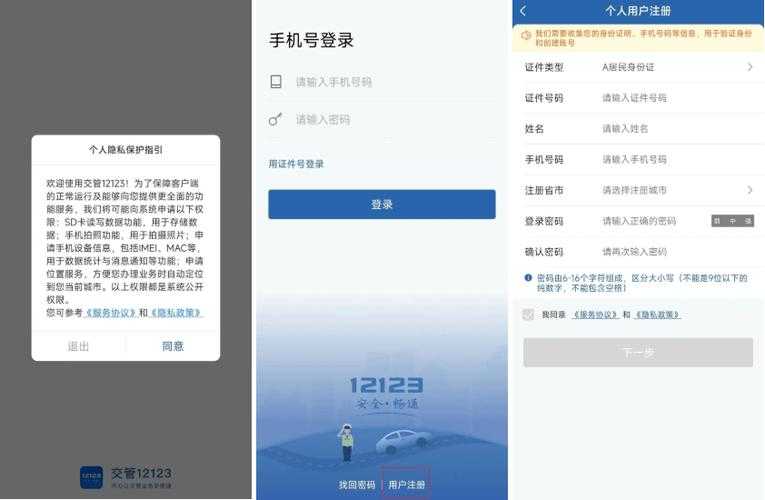 如何使用官网在线查询系统快速查找12123相关信息？