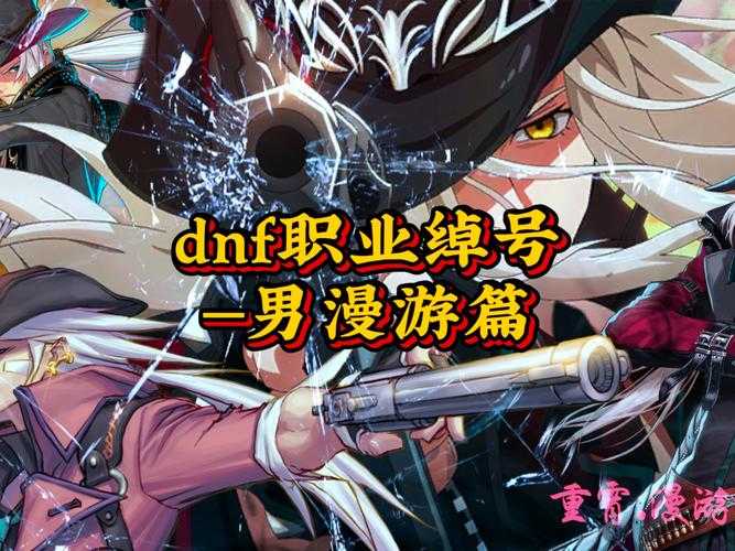 DNF外号分类解析：地域文化及趋势演变