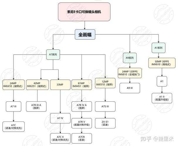 2025年相机市场技术迭代与消费趋势