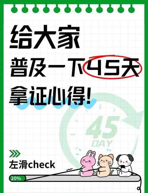 从零开始,一步步成为老司机