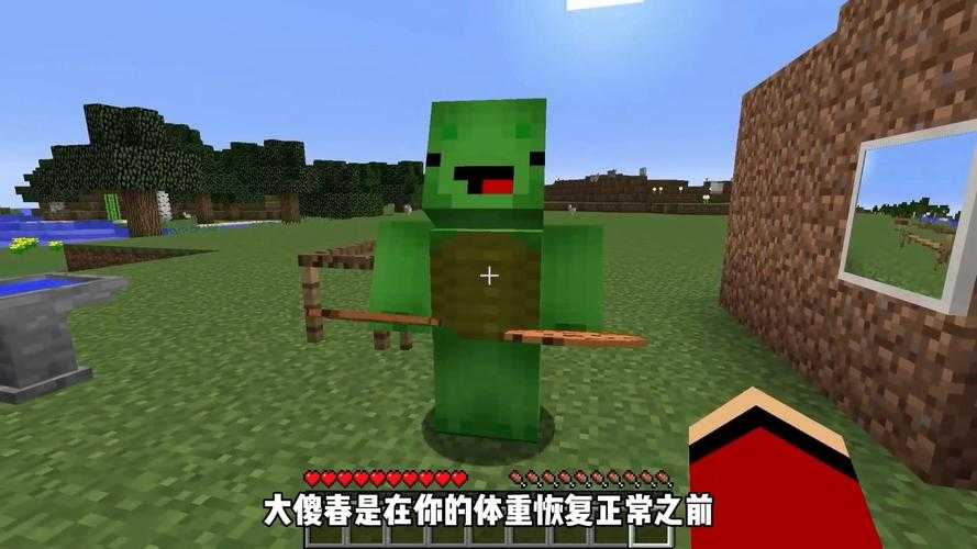 永久传说君我的世界 玩家 永久 传说