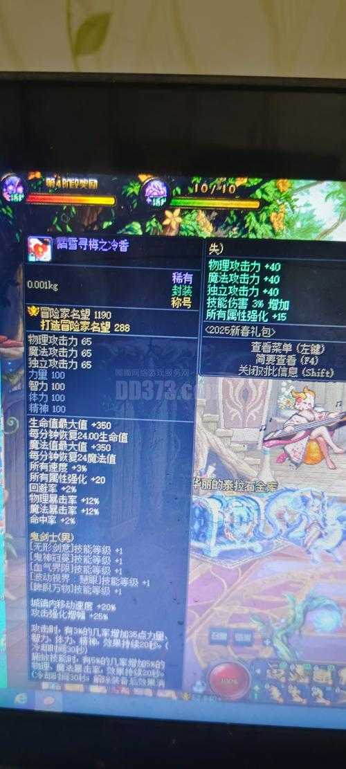 DNF技能栏异常2025官方修复与影响分析