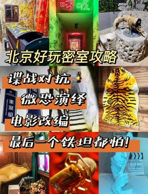 如何参与并体验密室逃脱免费版第一期?攻略指南