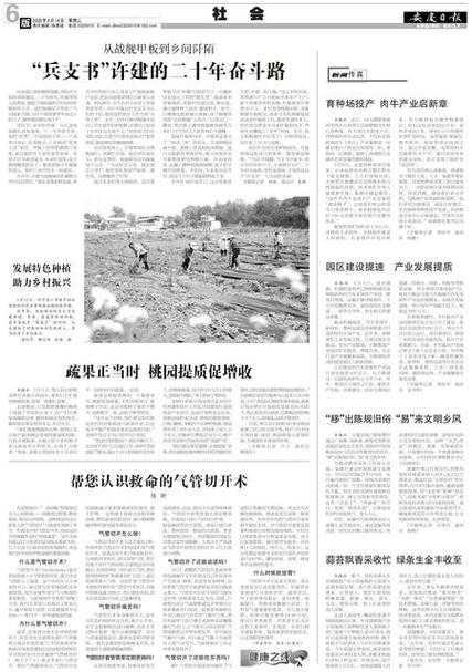 2025虚空幼龙生态经济社会全球影响评估